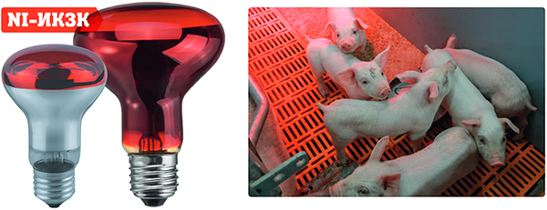 инфракрасные зеркальные термоизлучатели Navigator NI-ИКЗК для обогрева помещений с животными, теплиц, физиотерапии, сушки лаков и красок