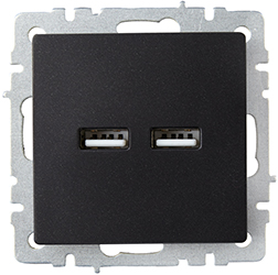 розетка двойная USB A+A IEK РЮ10-1-БрЧ Brite - внешний вид