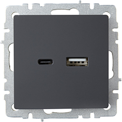 розетка двойная USB A+С IEK РЮ11-1-БрГ Brite - внешний вид